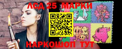 спиды Дубна