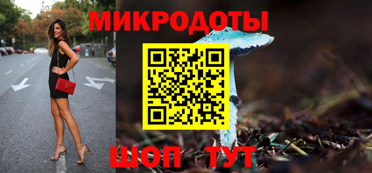 Псилоцибиновые грибы Cubensis Михайловск